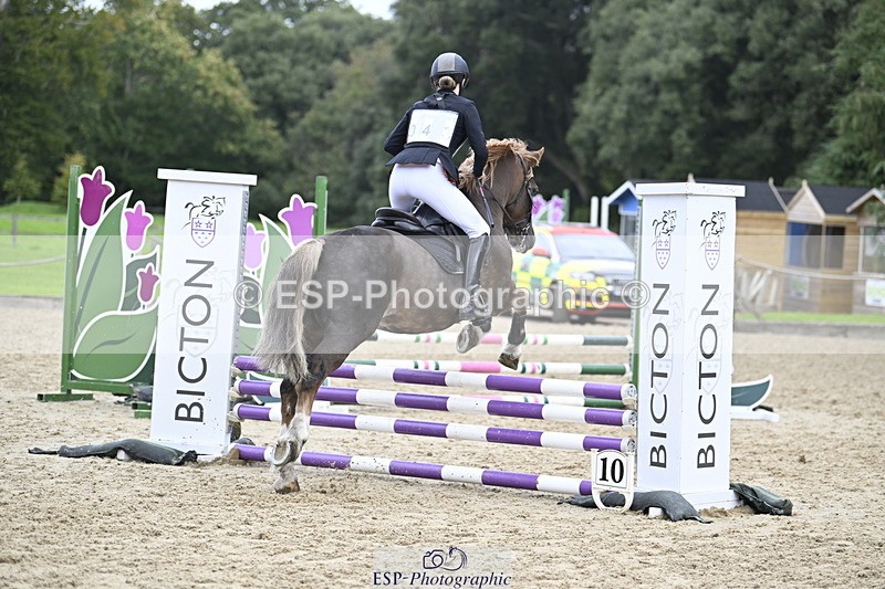 251005A-130333-04031 - Cls 08 Mini 70-75cm