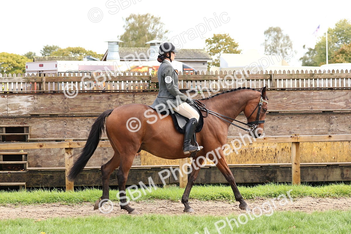 SBM_45156 - S27 - Young Veteran Ridden