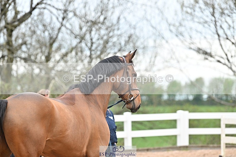 250423-161008-02003 - 4pm to 5pm