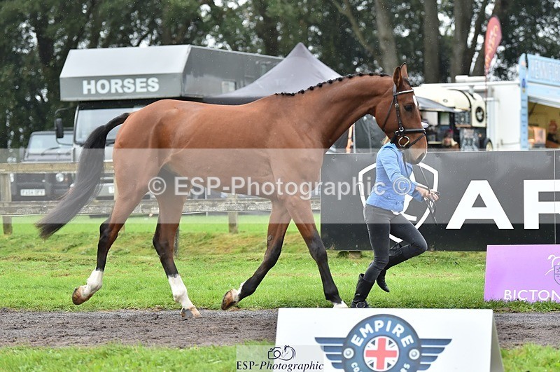 231018-124952-00555 - 070-SLIGO.CASTLE.JACOMAR-Veera.Peltokangas-TrotUp