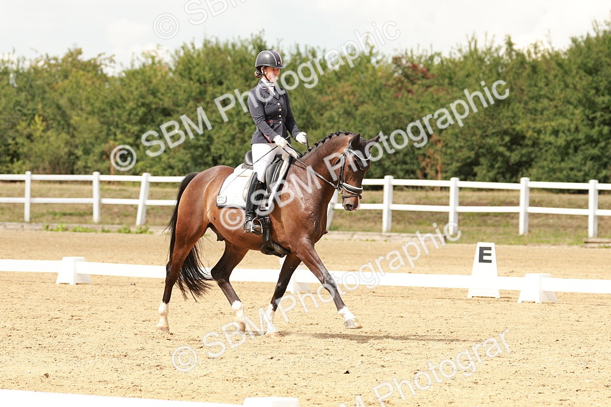 SBM_001946 - Class 8 - Elementary 6