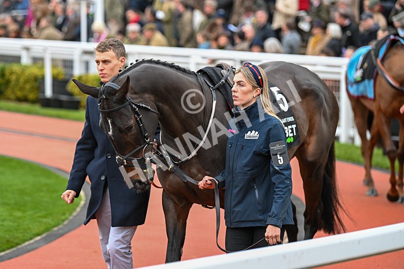 171124-Race 5-Paddock-Dysart Enos-3825