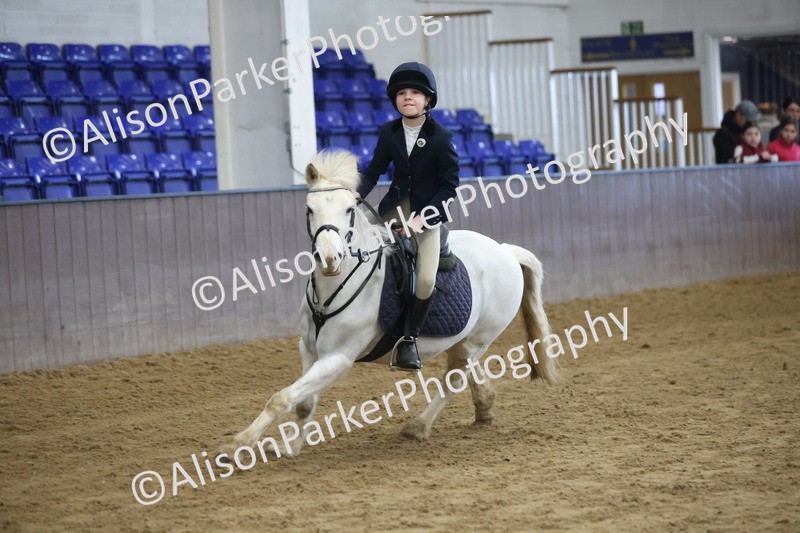 20260314-0447 - 60cm