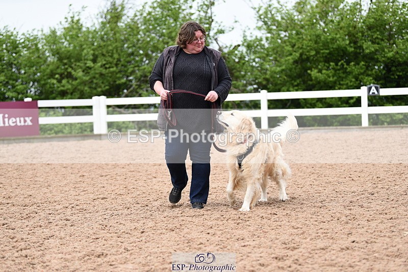 240518A-120652-01091 - Cls 3 Handsomest Dog