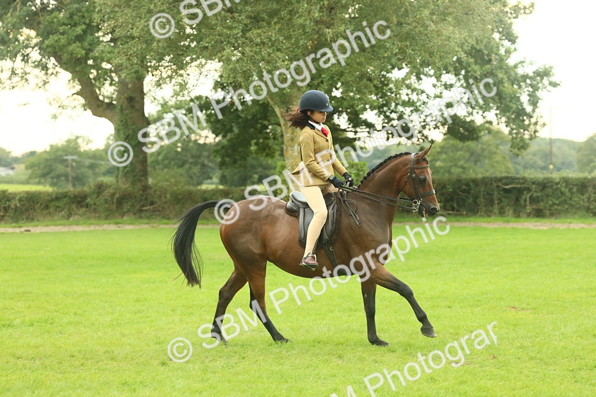 SBM_73946 - S 61 - Show Pony & Show Hunter Pony Ridden