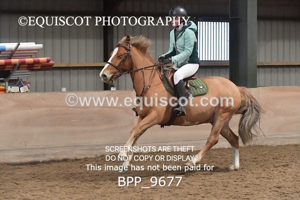 BPP_9677 - CLASS 7  80CM Small Open Show Jumping