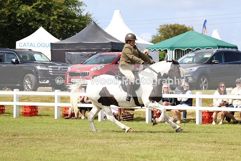 3E7A9941 - Class 5: Rising Star Lightweight/Heavyweight Cobs