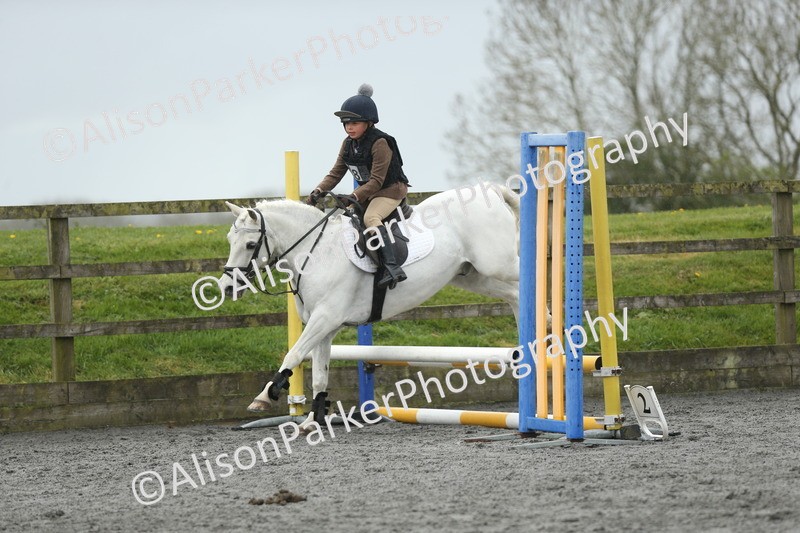 20260412-1866 - Show Jumping