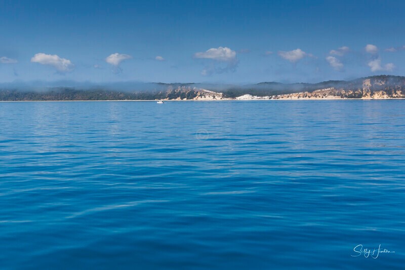 _16A2363 - 2024 Hervey Bay Whales