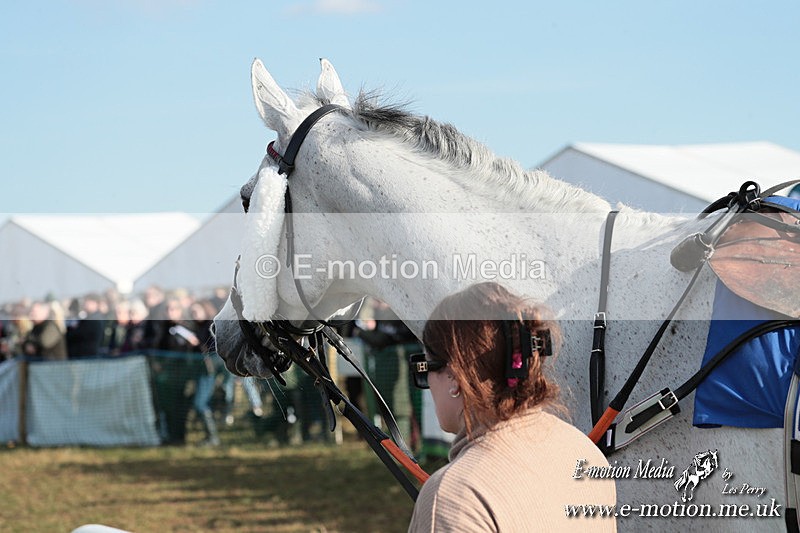 PtP 010325 372 - Beaufort Races Didmarton 01/03/25