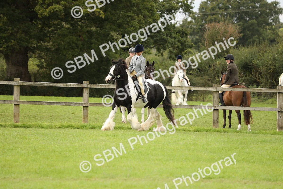 SBM_71666 - S41 - Ridden Equitation (Best Rider)