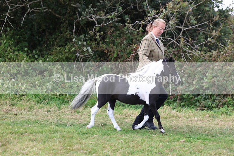 3E7A5387 - Class 19: Best Coloured in Hand