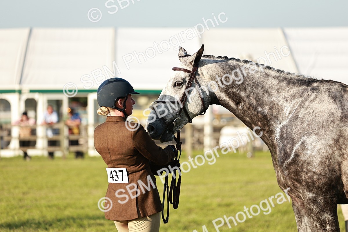 SBM_20510 - Class 117-119 - Sport Horse Working Hunter