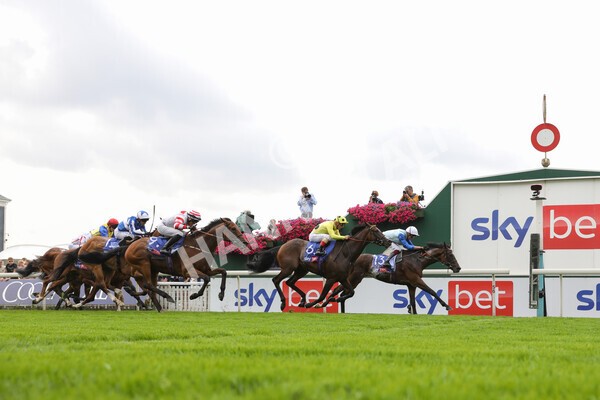 yr20082021r1-25 - Race 1 1.50pm Sky Bet Stakes