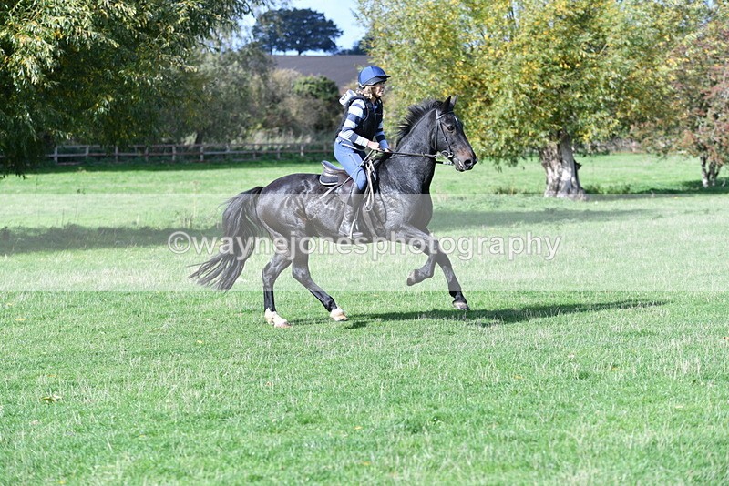 WJ5_8179 - Time 10:31 to 12:01