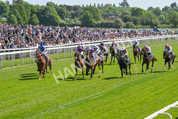 160525-Race 2-Thunder Run-6212 - Race 2 2.42pm Knights Solicitors Handicap
