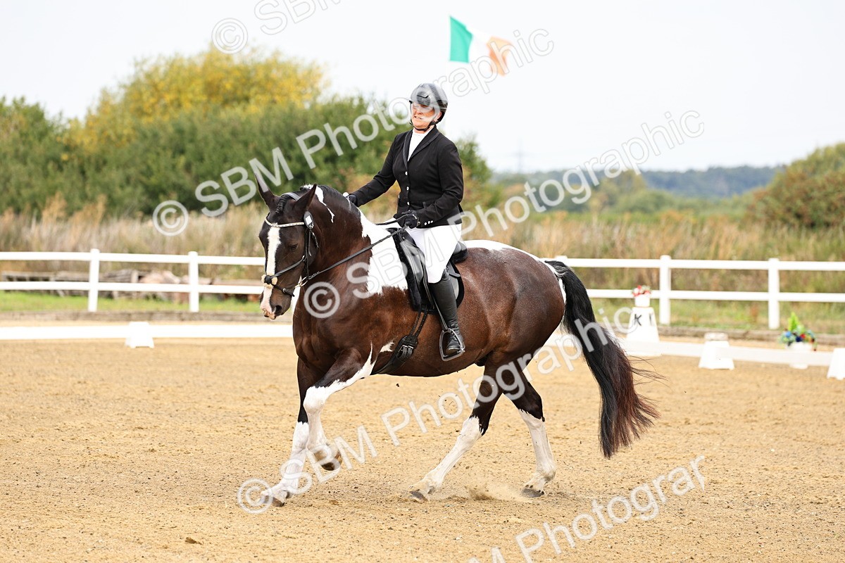 SBM_011412 - Class 1 - Prelim 4