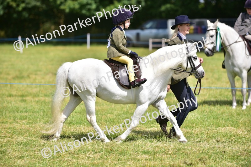 20260614-1168 - Class 11a - Lead Rein Pony (Unplaited)