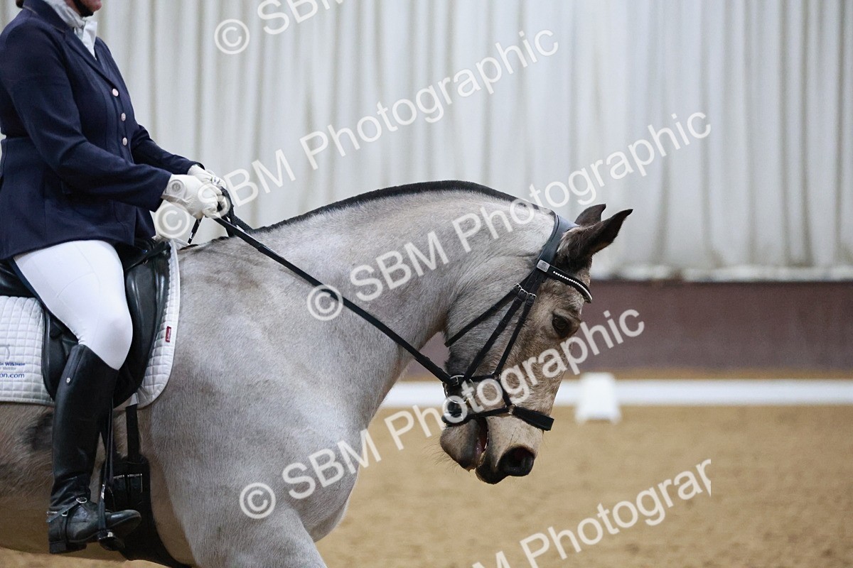 SBM_005583 - Medium Music-Medium 2-Adv Med 1