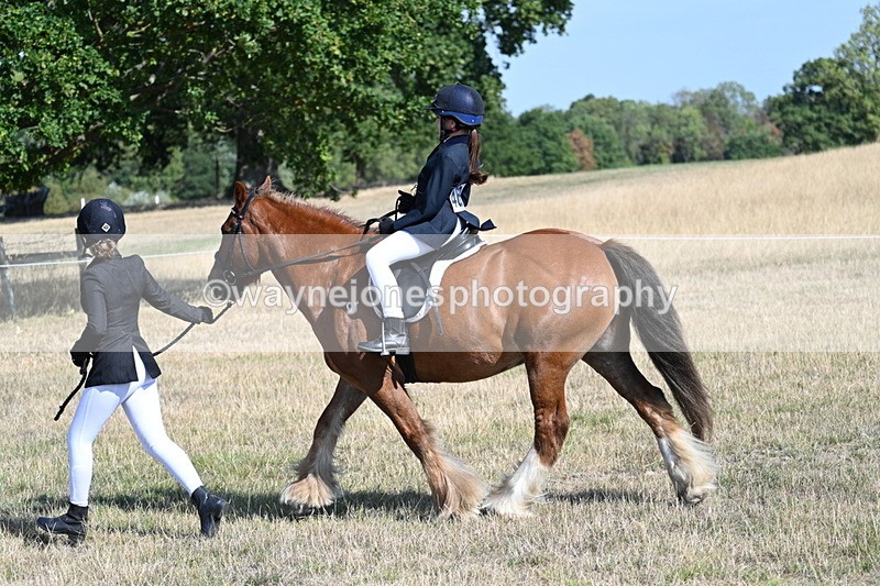 WJ7_3023 - Class 8 Ridden Tack & Turnout
