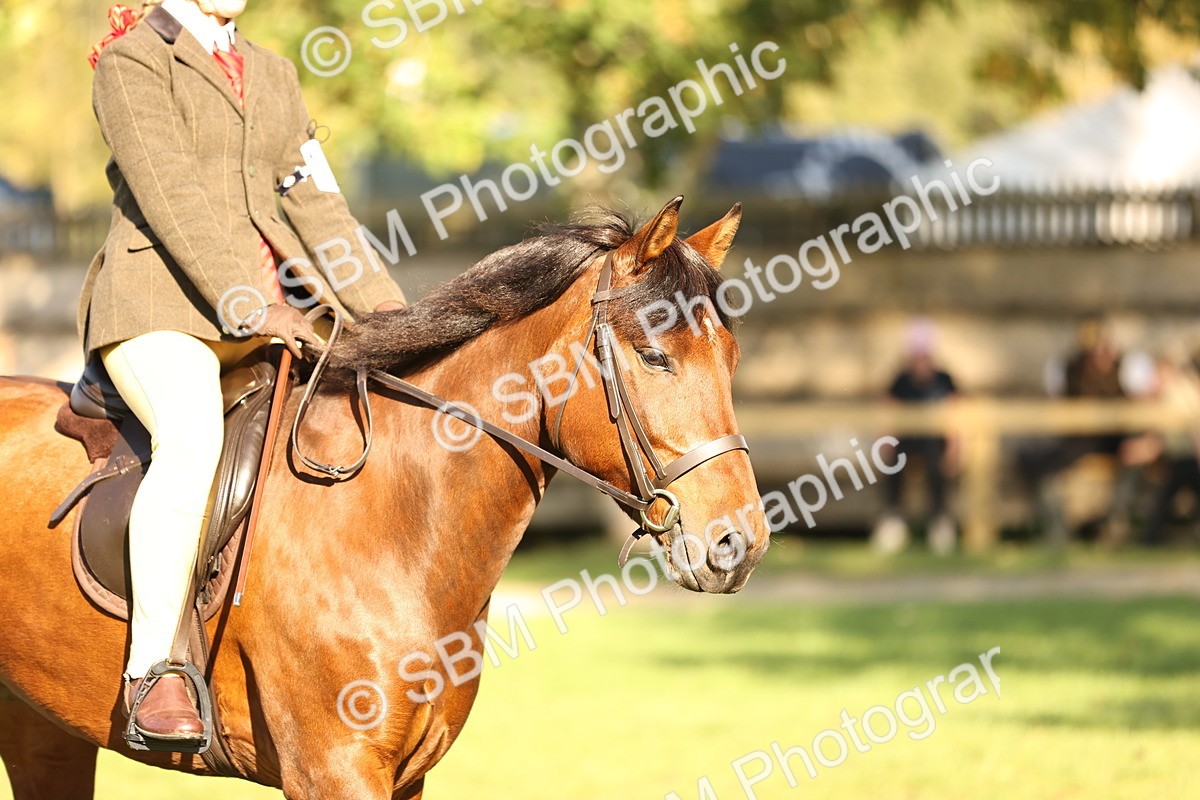 SBM_29398 - S7 - Novice & Newcomers Ridden Pony