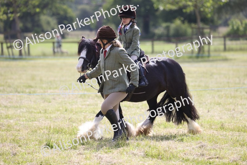 20260614-0634 - Class 20 - Beginners Working Hunter Pony