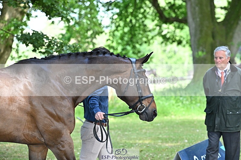 250521A-153433-00604 - B-317-Rupert.Batting-COOMBELAND.TALISMAN