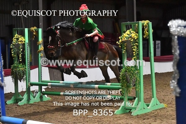 BPP_8365 - CLASS 5 PAIRS 60CM