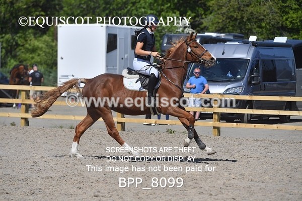 BPP_8099 - CLASS 3 Senior BritiNovice/ 90cm Open