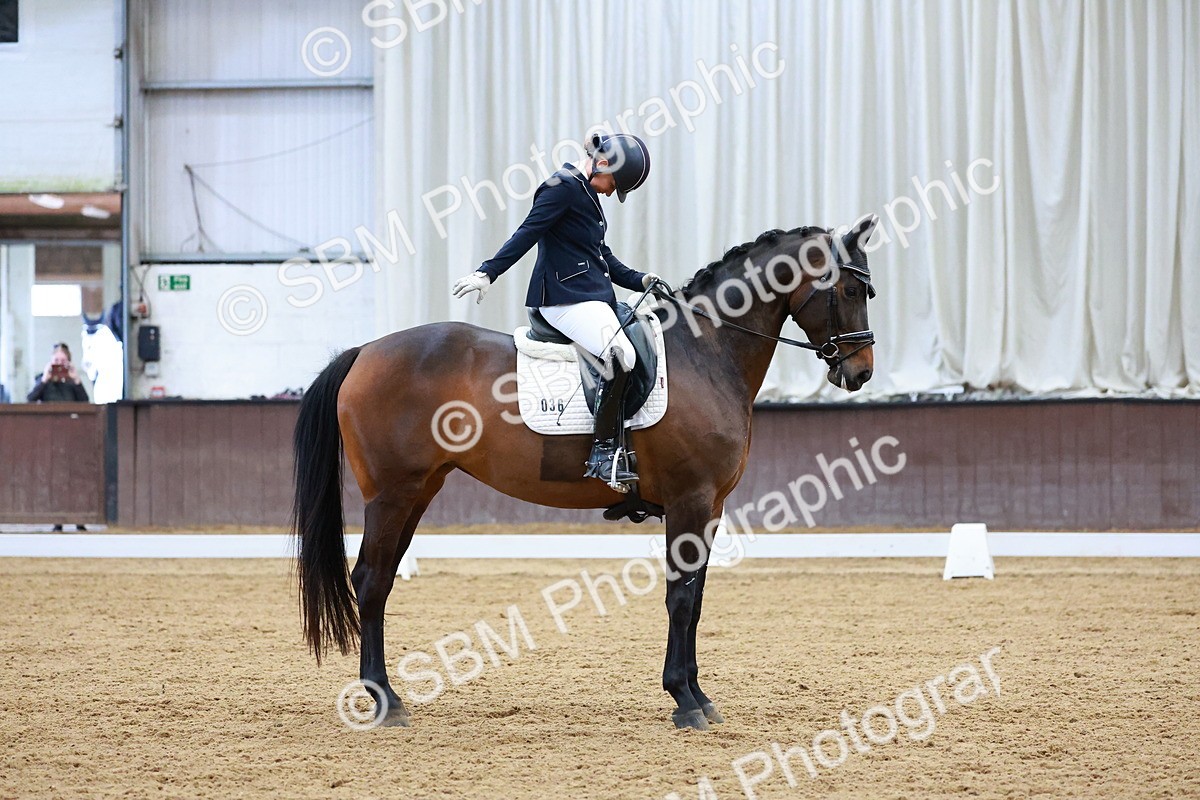 SBM_001497 - Class 5 - Novice 5