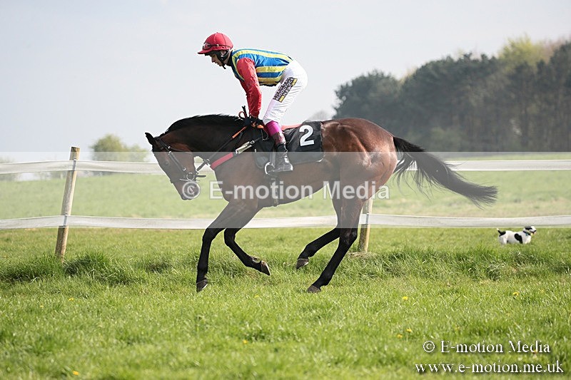 PtP 210418 397 - South & West Wilts Point-to-Point Larkhill 21/04/18
