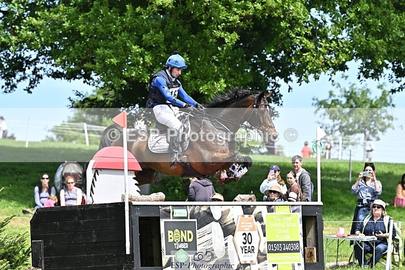 240525-140837-14722 - 162-HAZZLE_DAZZLE-Henry_Hobby