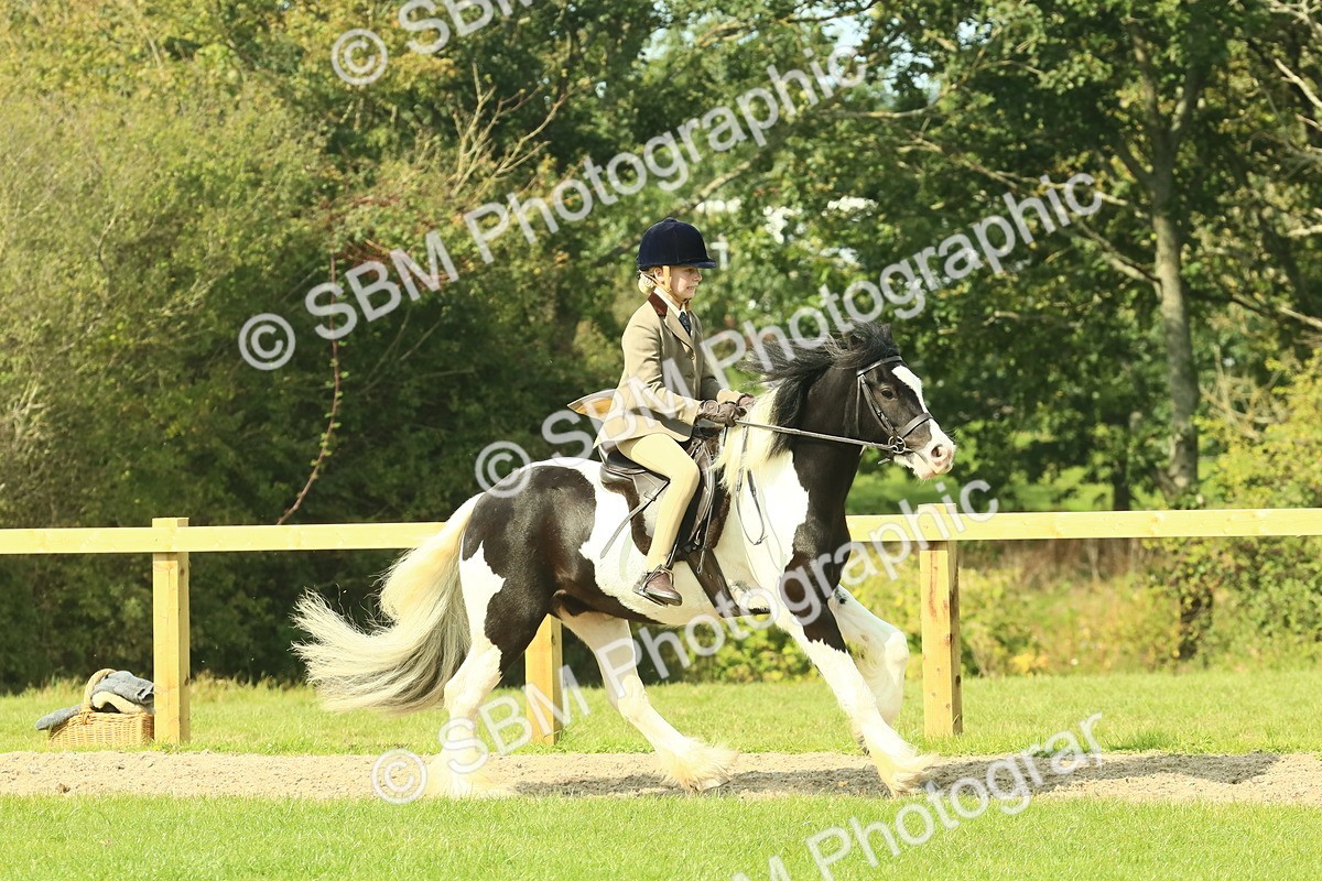 SBM_67475 - S56 - Coloured Pony Ridden