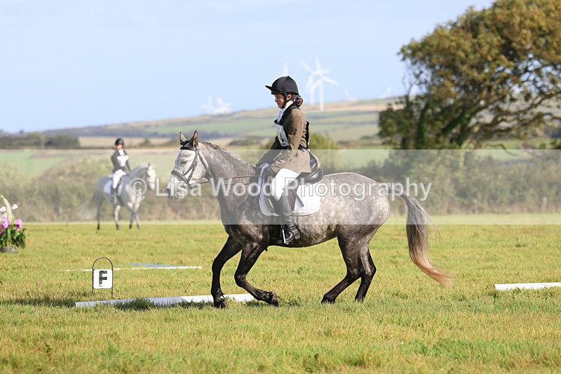 3E7A5771 - Class 1: Trebudannon Open: Dressage (Part 2)