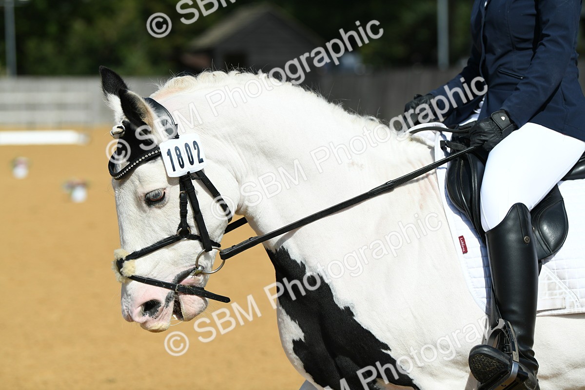 SBM_22696 - D13 - Grand Tour Championship - Prelim 12