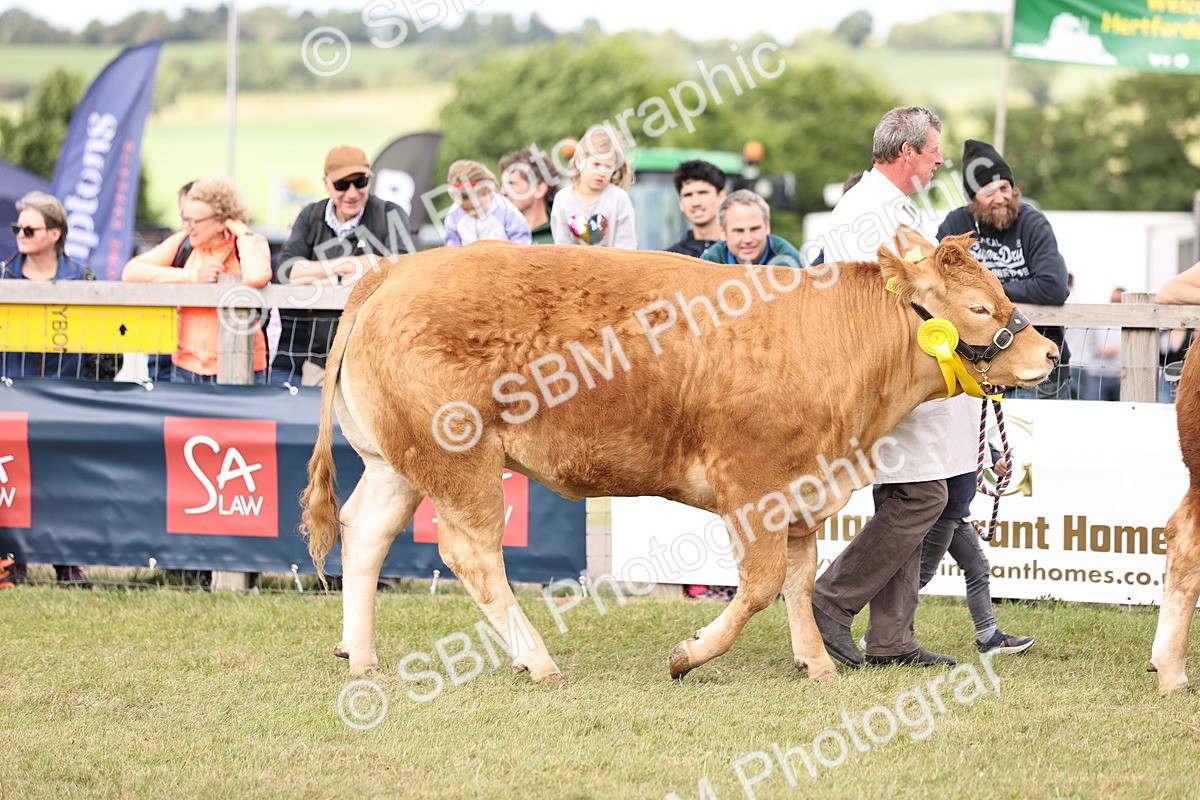 SBM_16891 - Grand Parade