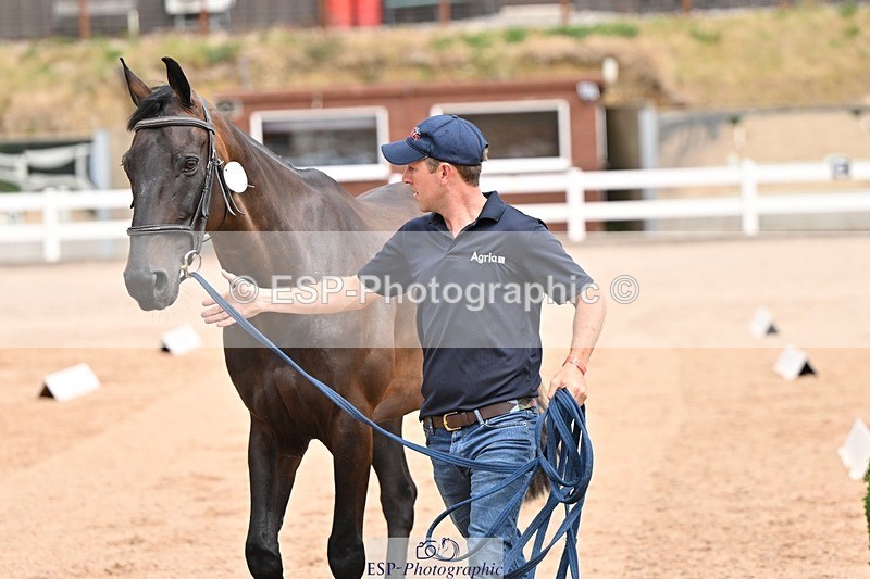 250716-150754-01667 - Trot Up 2.30 to 3.30