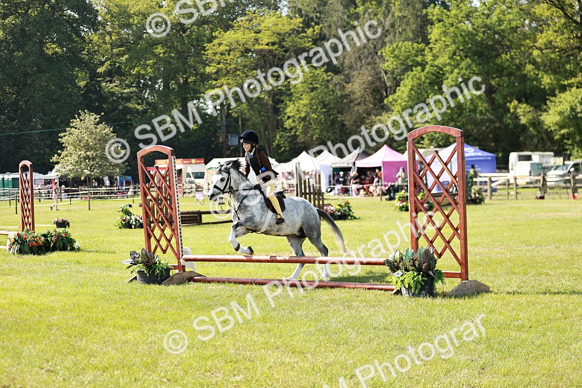 SBM_12654 - Class 106-107 - BSPS LIHS Working Sports Pony