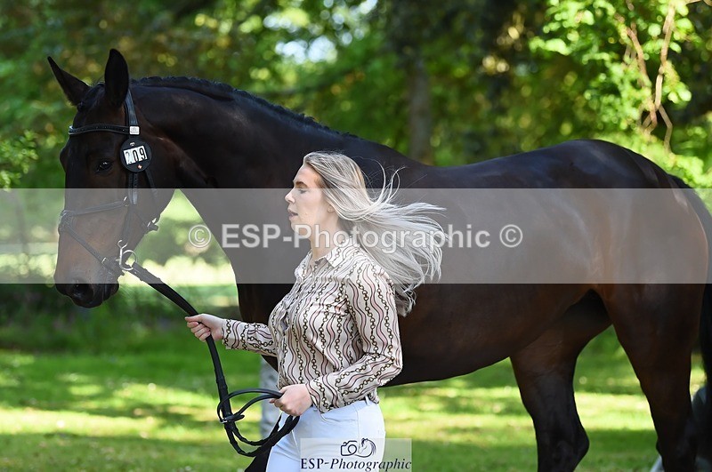 230524-160210-00635 - 209-MONBEG_EBONY-Molly_Fletcher-WEDTrotUp+DR