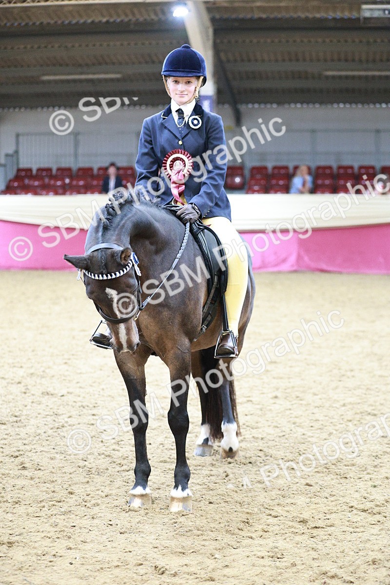 SBM_08381 - Class 11R - Regional Ridden Veteran