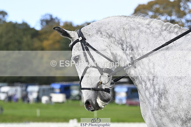 251023A-143923-04372 - D-330-Kathryn.Virjee