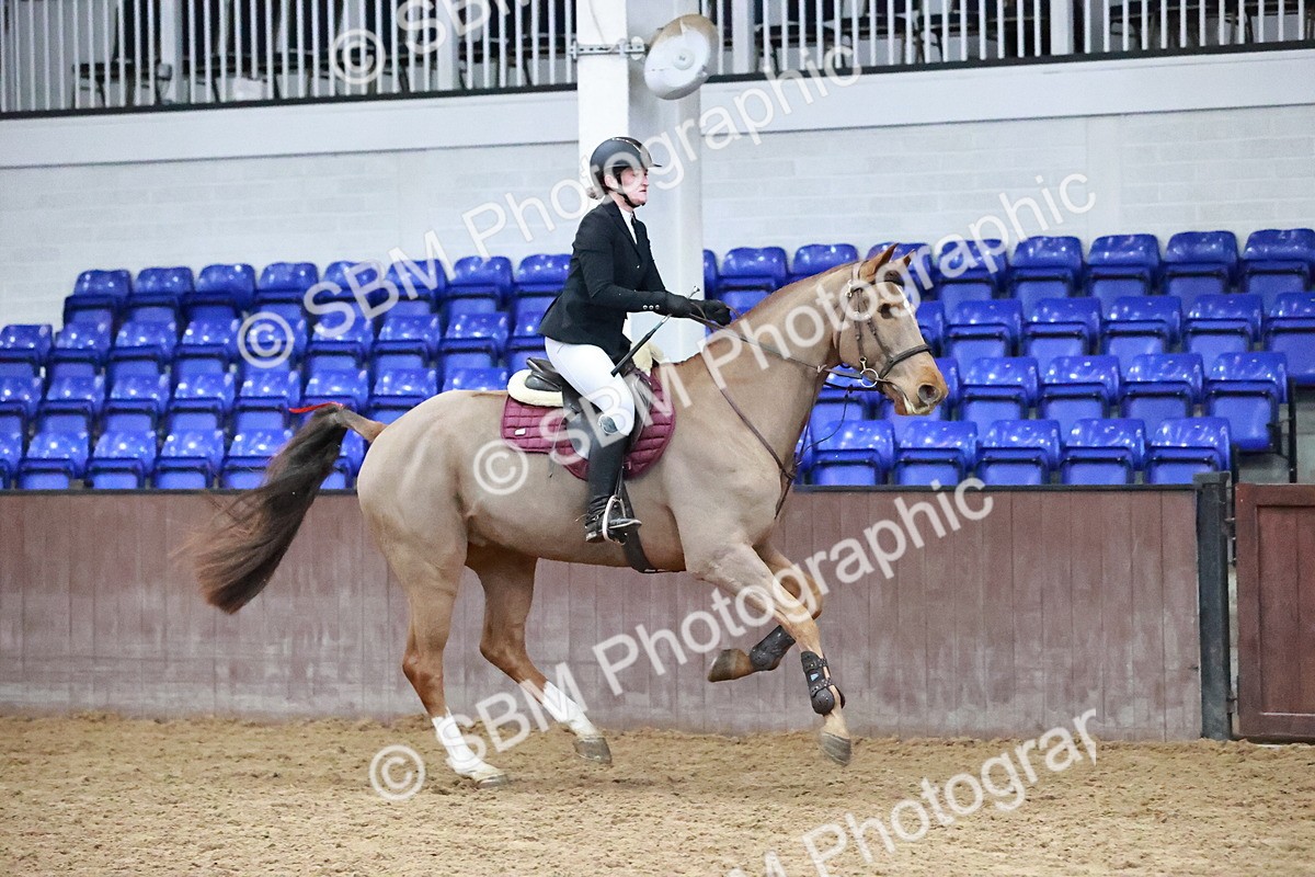 SBM_000646 - Class 2 - Senior British Novice - 90cm