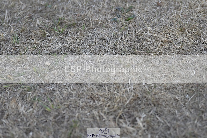 250823A-190224-34671 - All Sat Presentations