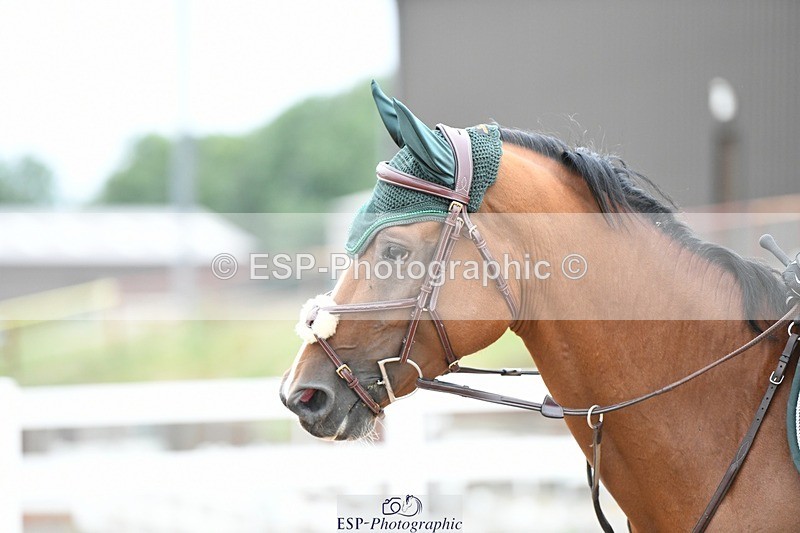 250803-090930-11743 - Cls 31 a&b British Novice & 90cm Open