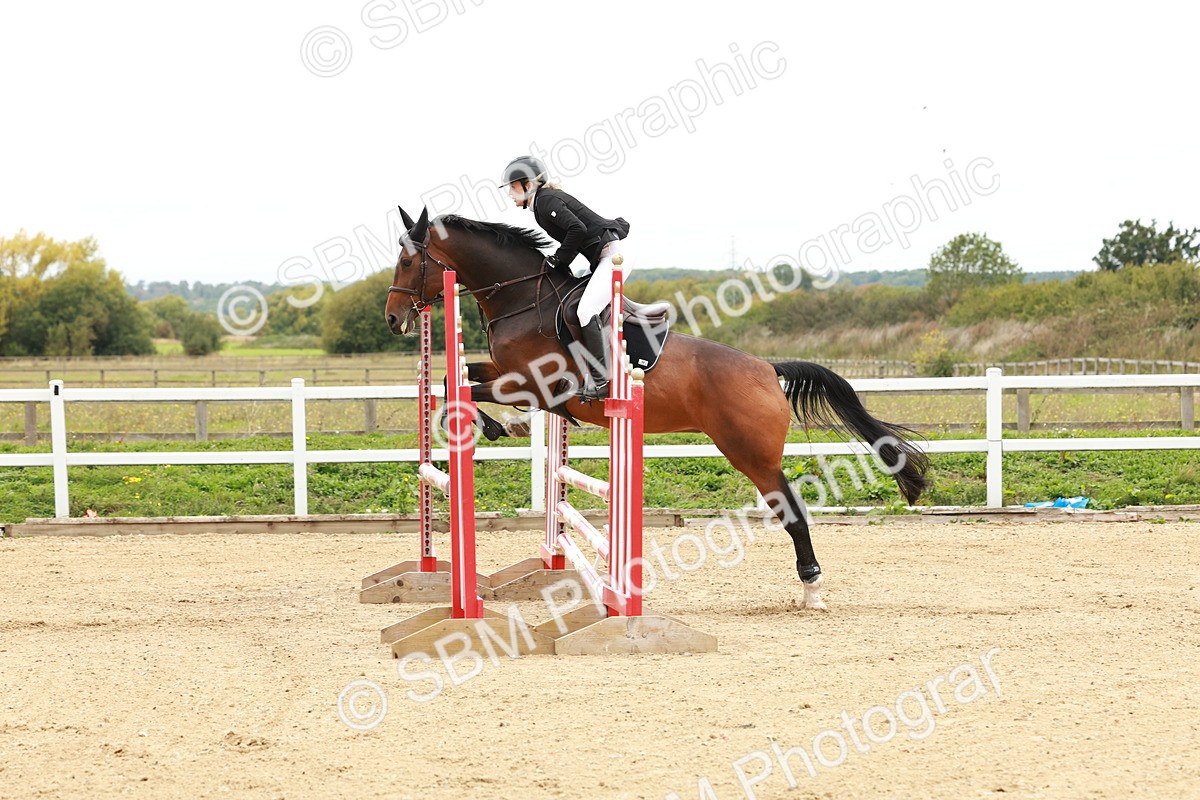 1I0A6786 - Class 2 - Senior British Novice