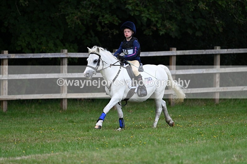 WJ7_7613 - 40cm Time 10:27 to 10:47