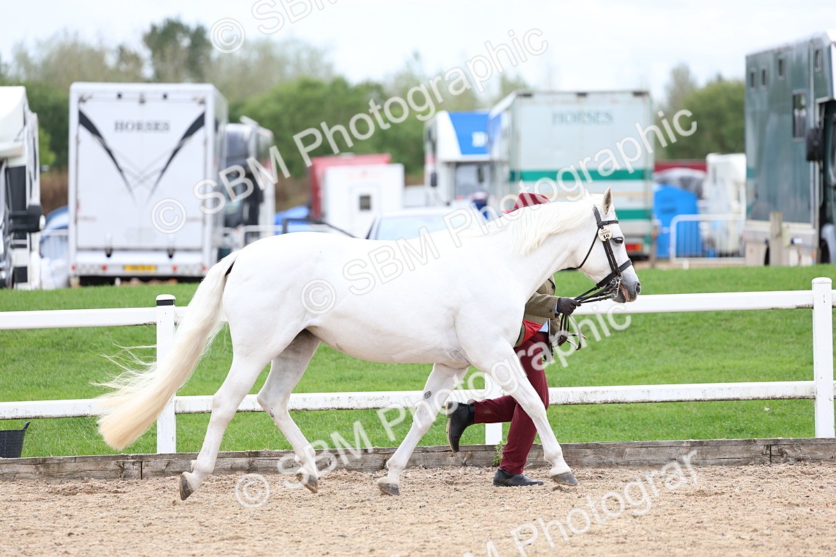 SBM_05846 - Class 29 - IH Veteran Pony