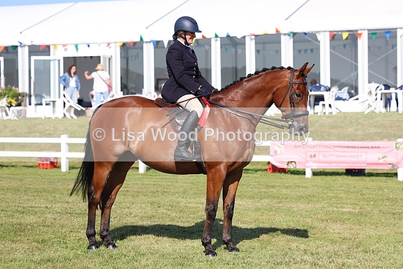 3E7A5730 - Class 2: Rising Star Large Hack/Riding Horse