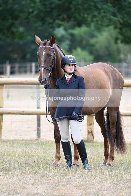 WJ7_9840 - Class 5a Most Handsome Gelding (above 14.2hh)