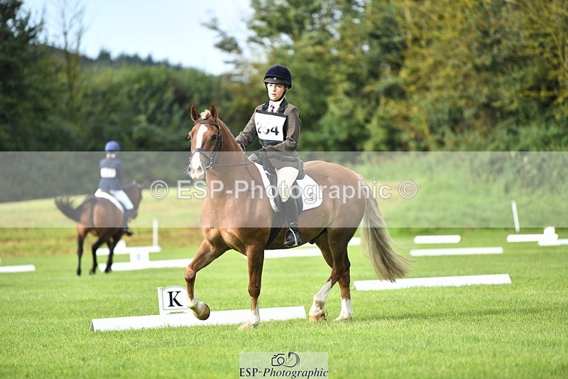 230826-091120-15049 - Sections C & D 9 to 10am